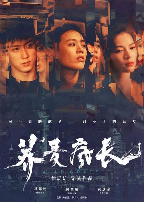 做个斯蒂文斯理工学院文凭